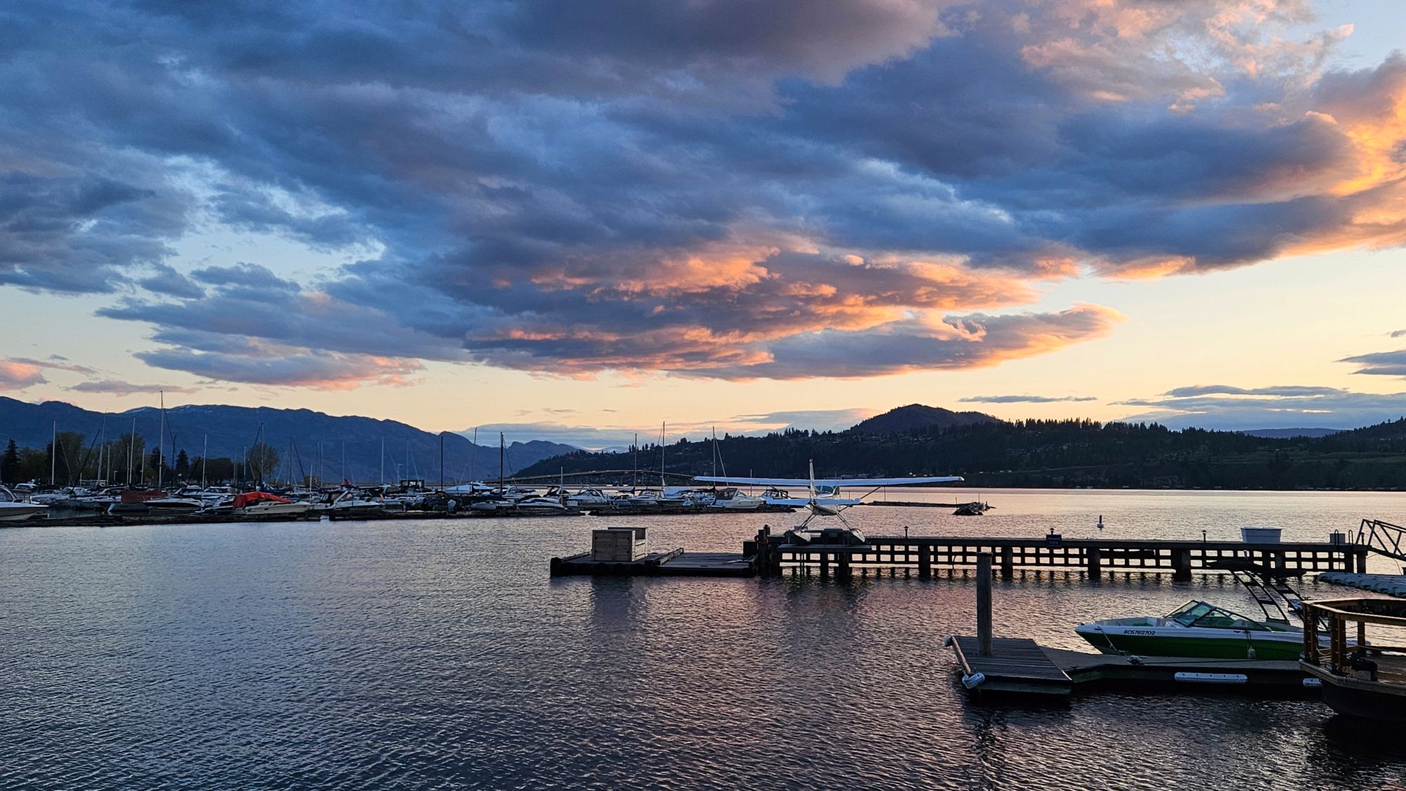 The Cost of Caring: Navigating Vicarious Trauma